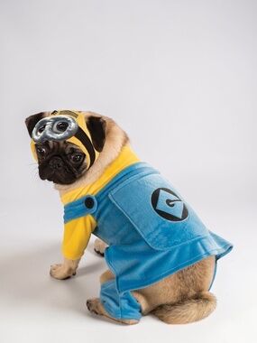 Minion Dog Costume XL Despicable Me Pet Costume Rubies Halloween Funny Outfit